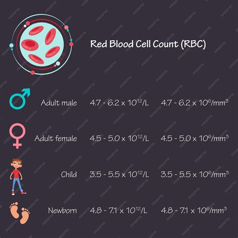 Premium Vector | Red blood cell rbc blood test medical vector ...