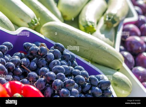 Fruit Market 的图像结果