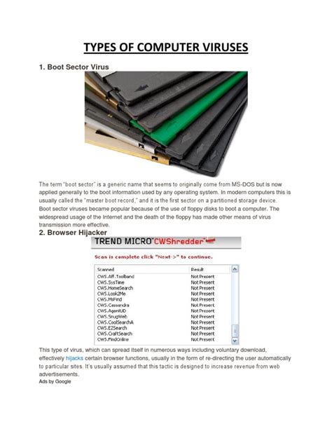 Types of Computer Virus 的图像结果