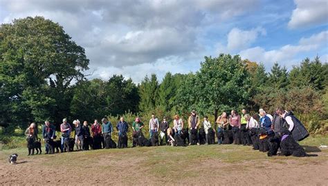Russian Black Terrier Pack Walk - Sunday 7th September 2025, Rushmere ...