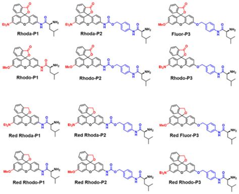 Recent Progress of Activity-Based Fluorescent Probes for Imaging ...