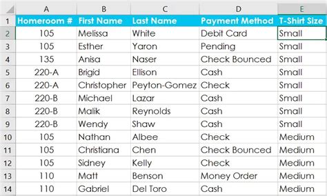 Groups and Subtotals in Microsoft Excel