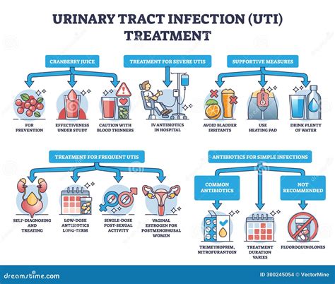 Urinary Tract Infection (UTI) Prevention -  Urinary Tract Infection (UTI) - Urology Channel