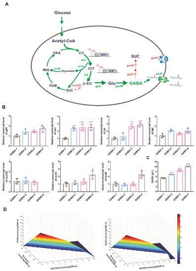 Biology | Special Issue : Bio-Based Chemicals Biosynthesis and ...