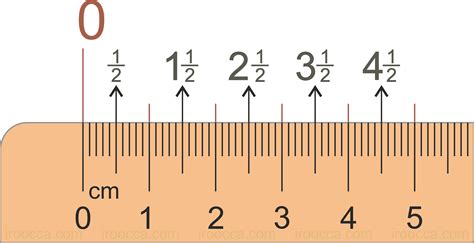 Metric scale ruler measuremennts - flipvast