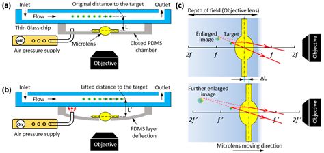 Pneumatically Actuated Thin Glass Microlens for On-Chip Multi ...