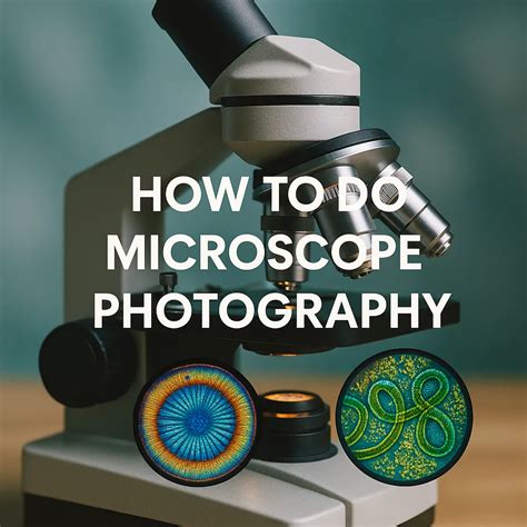 Image result for Microscope Photography Tutorial