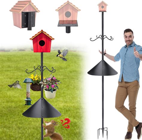 Amazon.com : Squirrel Stopper Deluxe Squirrel Proof Pole System with ...