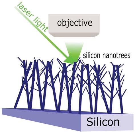Engineering SERS Properties of Silicon Nanotrees at the Nanoscale