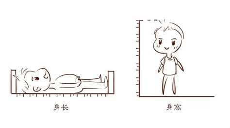 如何测量宝宝的身高_宝宝体重_小鲤鱼育儿