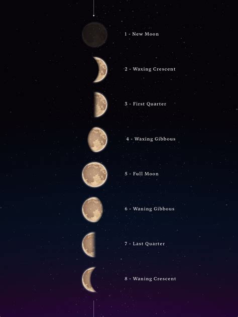 Waxing Gibbous Moon Meaning Moon Guide: Lunar Signs And Phases — The