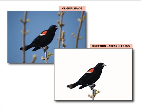 Feature summary | Photoshop CC | 2014 releases