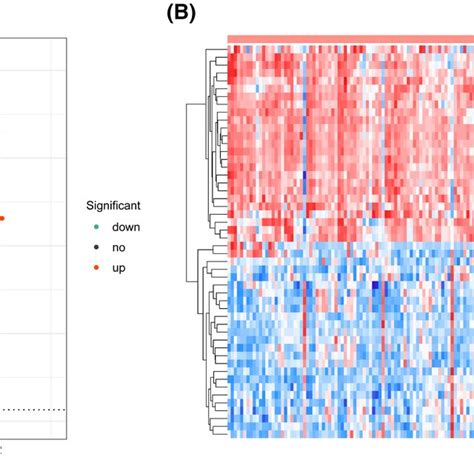 Volcano Plot Explained 的图像结果