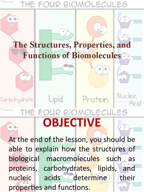 Image result for Biomolecules Explained