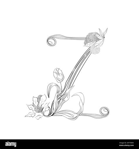 Floral font, Letter Z Stock Vector Image & Art - Alamy