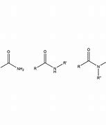 酰胺 的图像结果