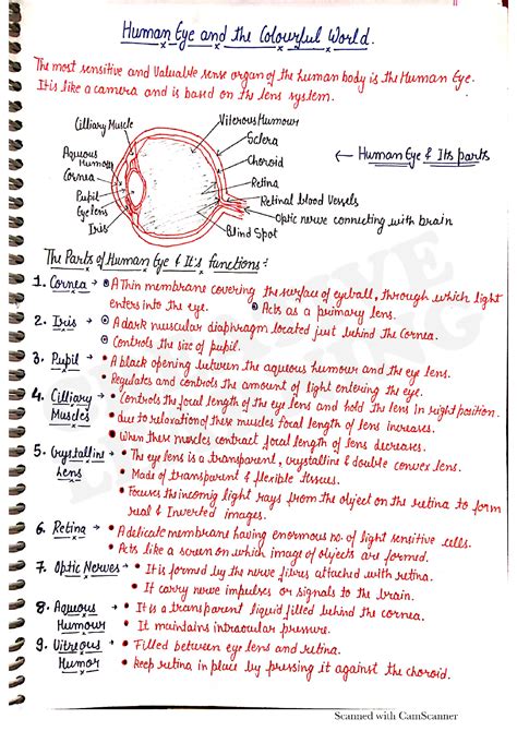 Image result for Class 10th Science Human Eye Chapter