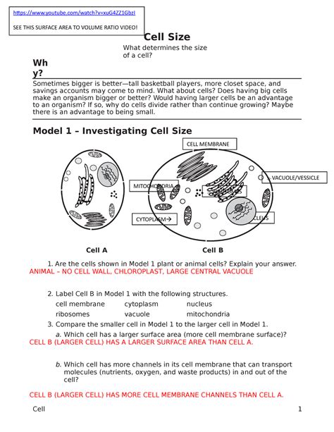 Pogil Cell Size-KEY - love it - Wh y? Cell Size What determines the ...
