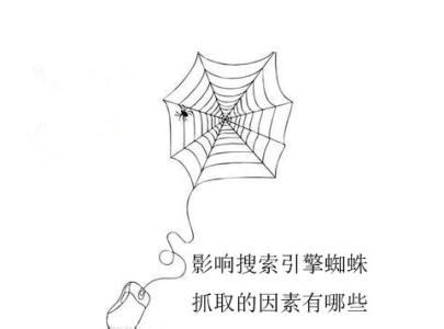 蜘蛛快速抓取网站方法大合集_SEO优化_超级蜘蛛池