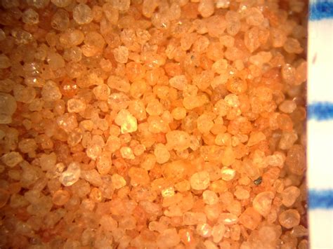 Sand, Fay Canyon, Sedona, Arizona Under the Microscope