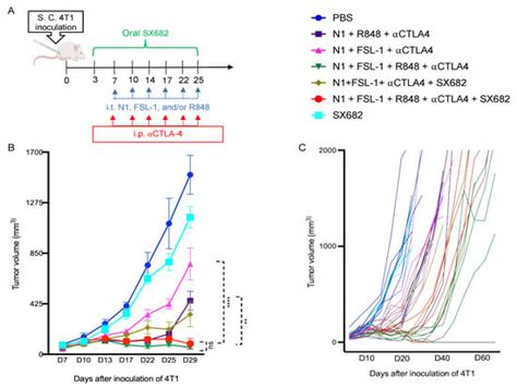 Regression and Eradication of Triple-Negative Breast Carcinoma in 4T1 ...