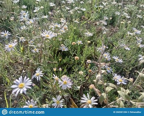 Image result for Unity Power