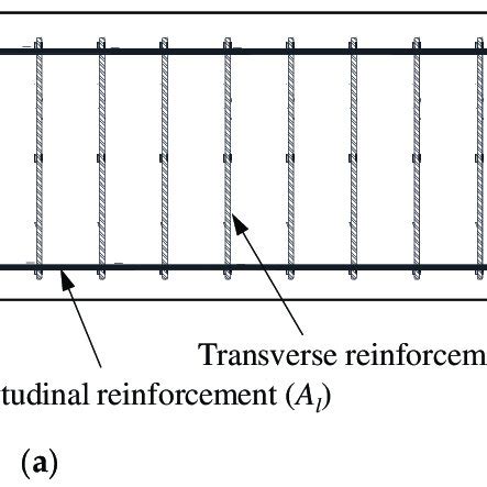 Longitudinal Section and Cross Section 的图像结果