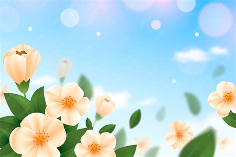 Spring Nature Backgrounds Flowers
