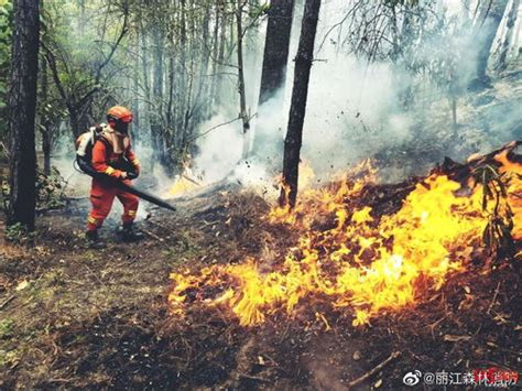 “探秘”直升机灭火：5秒钟精准洒下3吨水-中国森林草原防火网