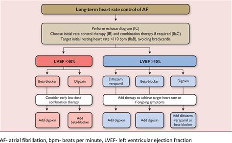 Pharmacological Therapy for Rate and Rhythm Control for Atrial Fibrillation in 2017 - Heart ...