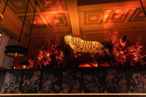 Image result for How to Install Tiger Loop