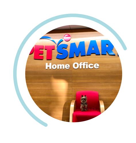 Working in Our Phoenix Home Office | Careers at PetSmart Apply