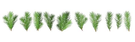 A drawing of a christmas tree with a heart on it | Premium Vector
