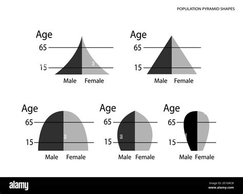 Population pyramid Black and White Stock Photos & Images - Alamy