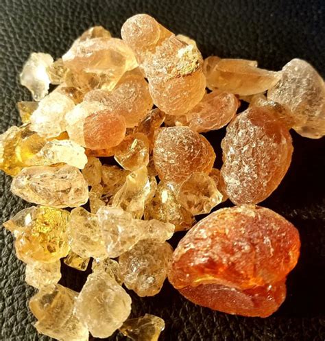 Acacia Gum Resin 1oz Also known as Gum Arabic or Amber Syrax Resin ...