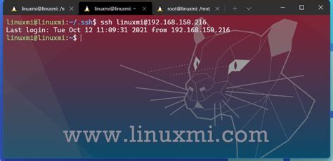 OpenSSH App 的图像结果