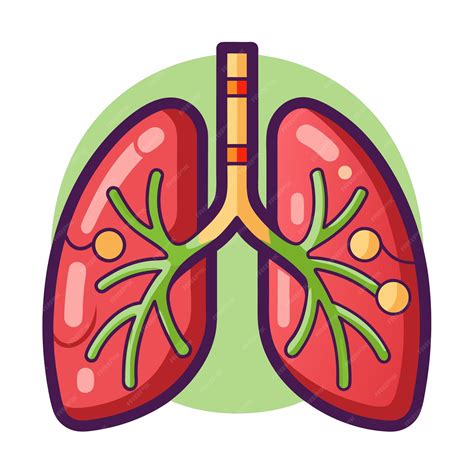 Premium Vector | Lungs clipart cartoon style vector illustration