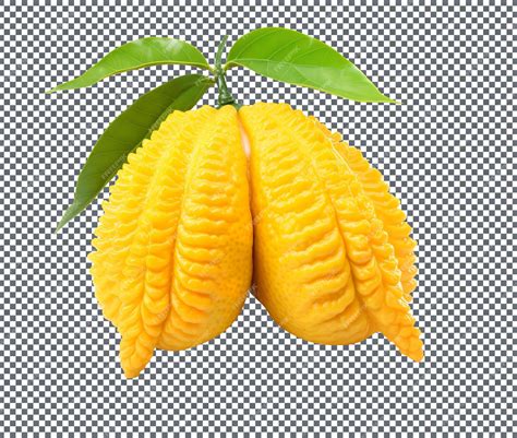 Premium PSD | Fresh buddha hand citron seeds isolated on a transparent ...
