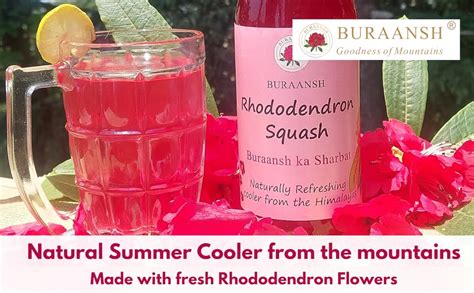 BURAANSH Rhododendron Squash - Buransh ka Sharbat, Natural Cooler ...