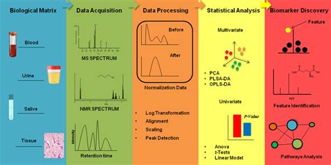 Image result for Metabolomics Tutorial
