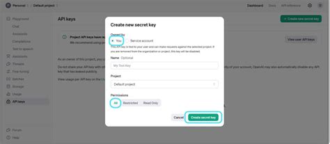 Openai API Key Entry Python 的图像结果
