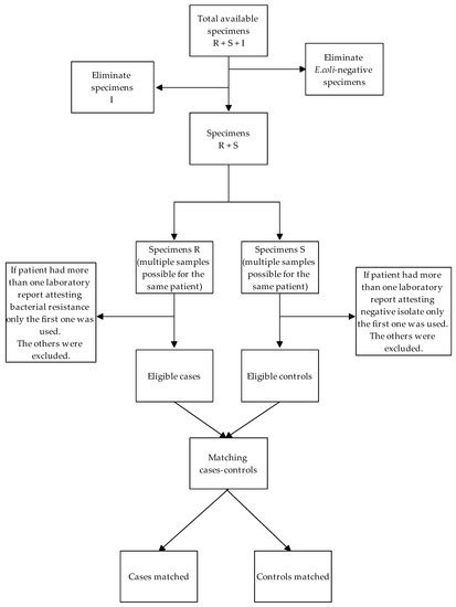 Antibiotics | Special Issue : Antimicrobial Use across Different ...