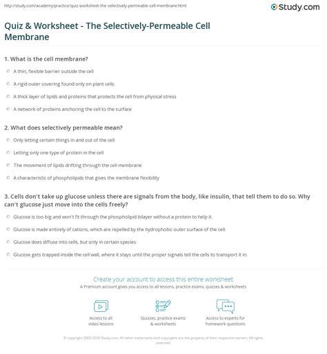 Quiz & Worksheet - The Selectively-Permeable Cell Membrane | Study.com