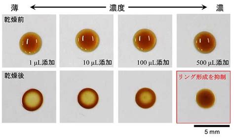 Image result for Example of Algorithm Games