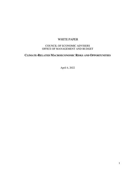 White Paper Example PDF 的图像结果