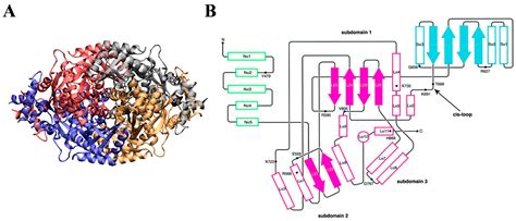 The Role of Structure and Biophysical Properties in the Pleiotropic ...