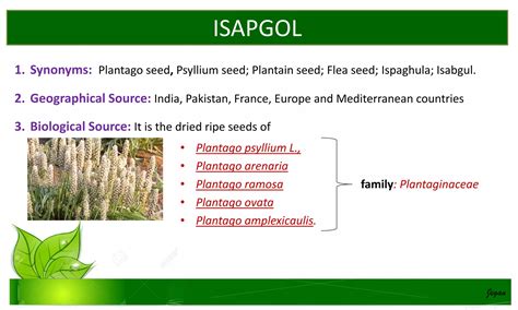 Pharmacognosy of carbohydrates containing drugs | PDF