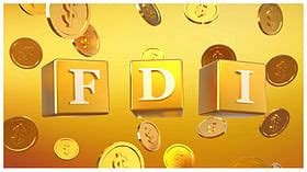 Foreign Direct Investment Inflow Sees Highest Ever First-Half, Hikes ...