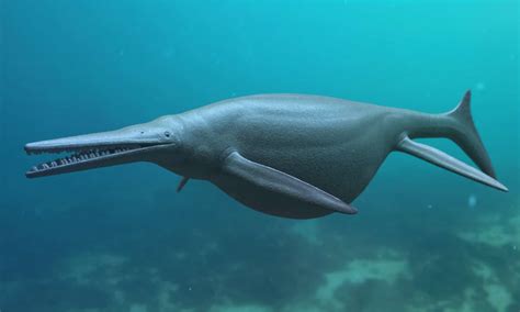 These Ancient Animals Have Survived Since the Age of Dinosaurs