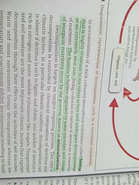 Image result for Decomposition Explained